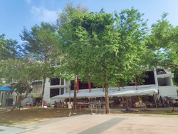 Blk 113 Rivervale Walk (Sengkang), HDB 5 Rooms #221380851